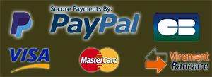 paypal