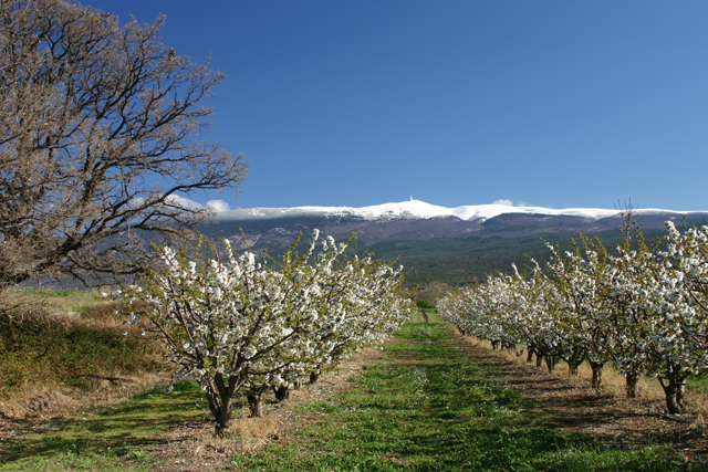 Ventoux - Jeep Sud Est