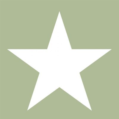 POCHOIR ETOILE SIMPLE CAPOT VEHICULE